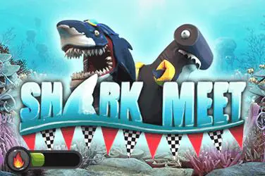 Shark Meet - Marakumi - Kenya